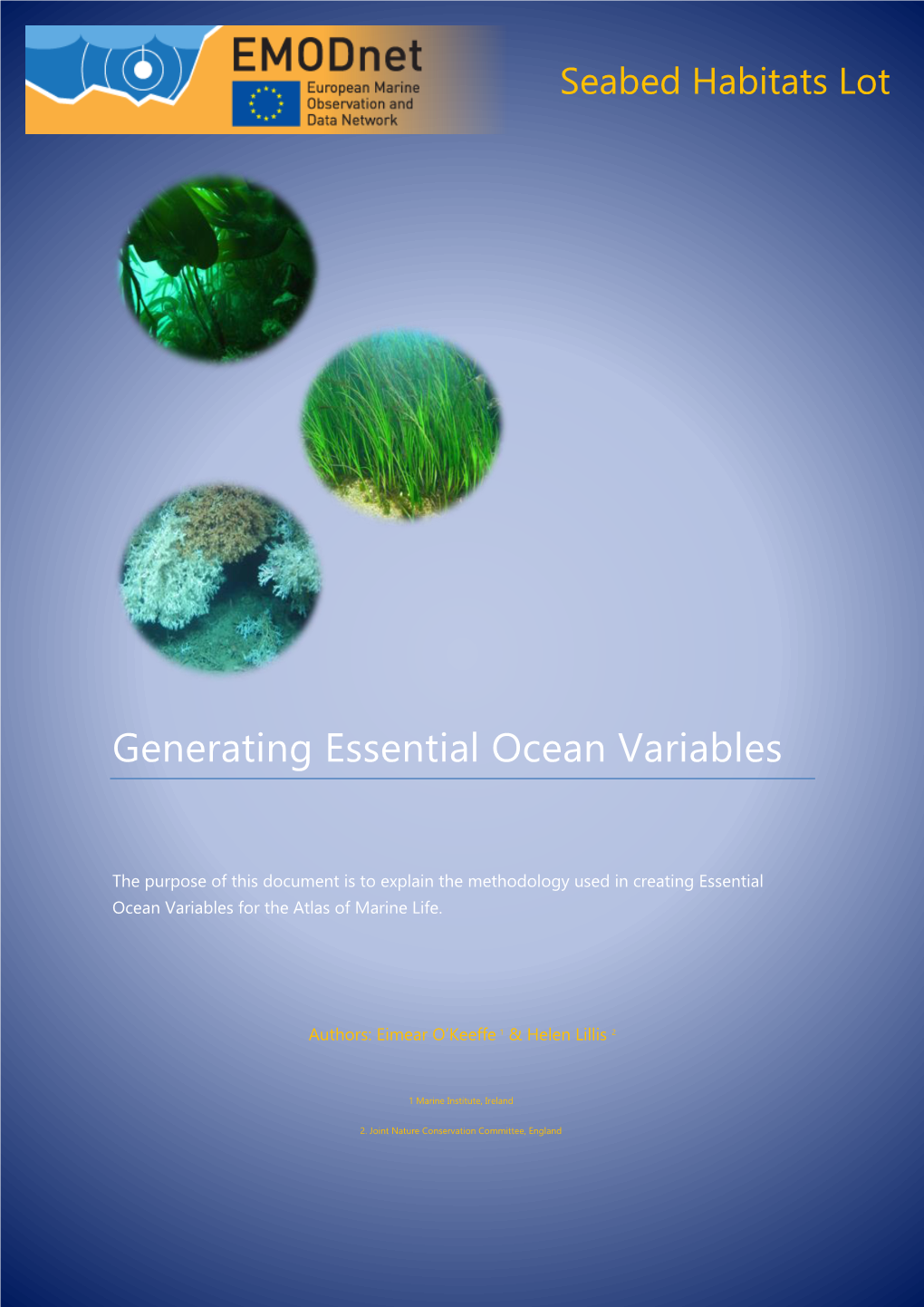 Generating Essential Ocean Variables