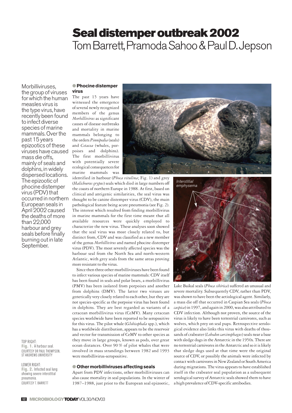 Seal Distemper Outbreak 2002 Tom Barrett, Pramoda Sahoo & Paul D. Jepson