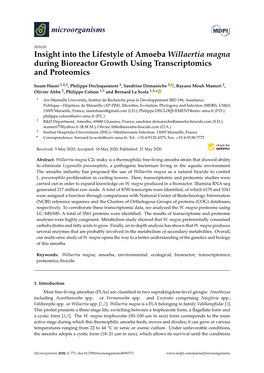 Insight Into the Lifestyle of Amoeba Willaertia Magna During Bioreactor Growth Using Transcriptomics and Proteomics