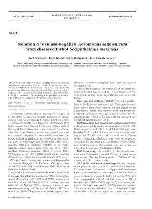 Isolation of Oxidase-Negative Aeromonas Salmonicida from Diseased Turbot Scophthalmus Maximus