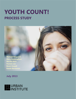 Youth Count! Process Study