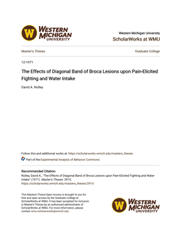 The Effects of Diagonal Band of Broca Lesions Upon Pain-Elicited Fighting and Water Intake