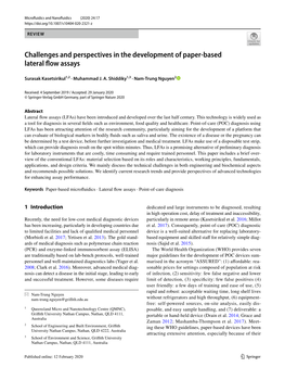 Challenges and Perspectives in the Development of Paper-Based Lateral