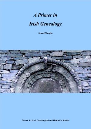 A Primer in Irish Genealogy