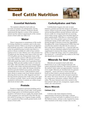 Beef Cattle Nutrition