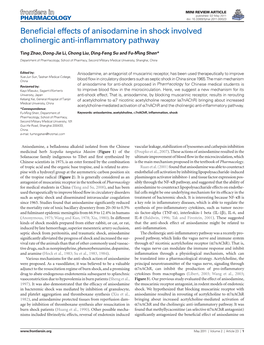 Beneficial Effects of Anisodamine in Shock Involved Cholinergic Anti-Inflammatory Pathway