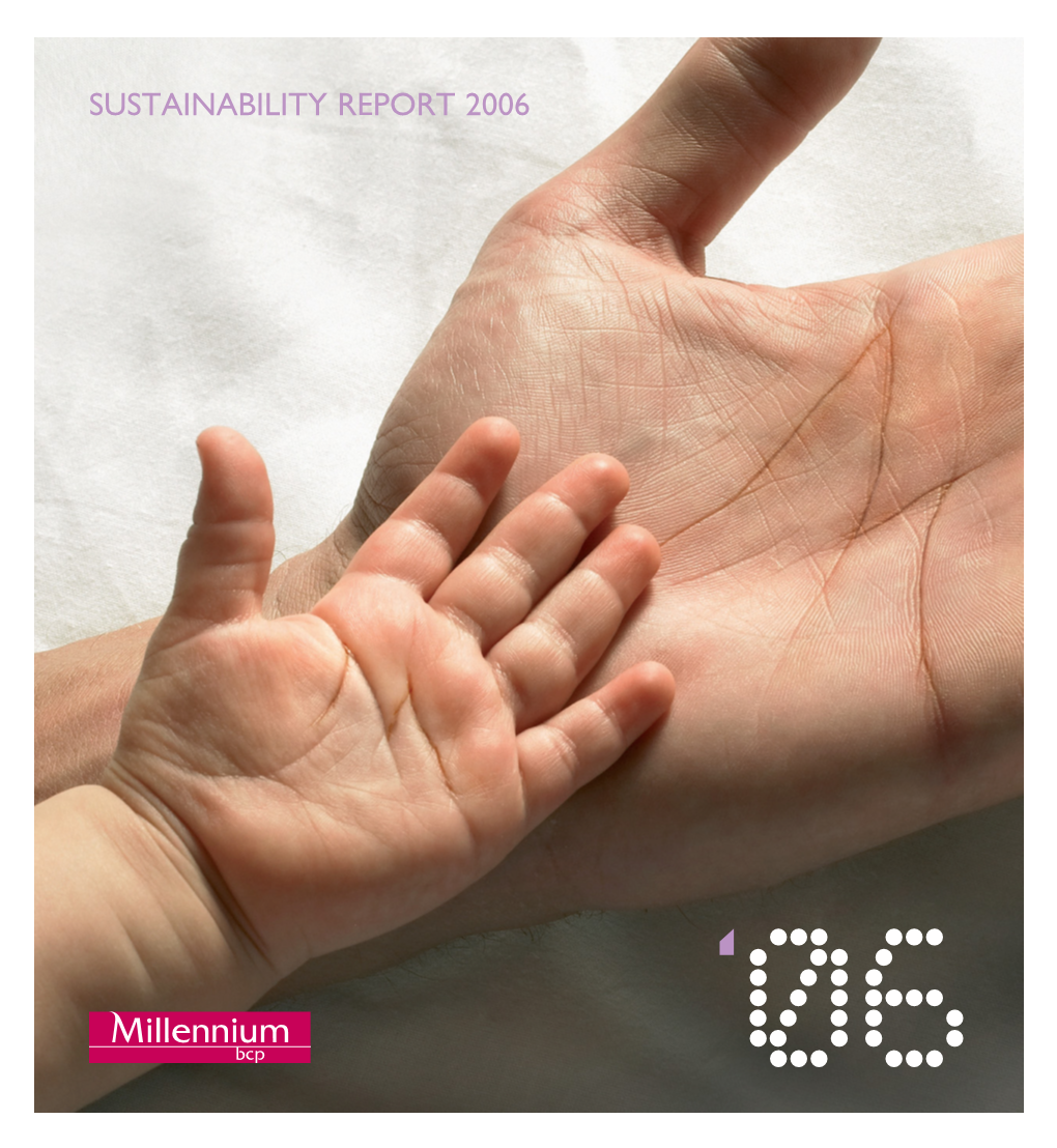 Sustainability Report 2006