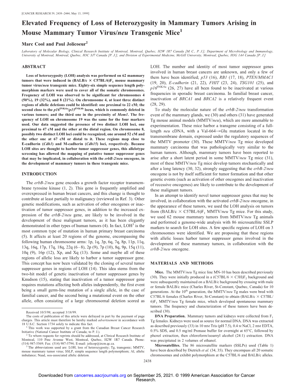 Elevated Frequency of Loss of Heterozygosity in Mammary Tumors Arising in Mouse Mammary Tumor Virus/Neu Transgenic Mice1