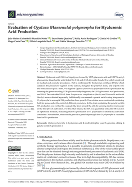 Evaluation of Ogataea (Hansenula) Polymorpha for Hyaluronic Acid Production