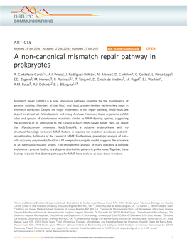 A Non-Canonical Mismatch Repair Pathway in Prokaryotes