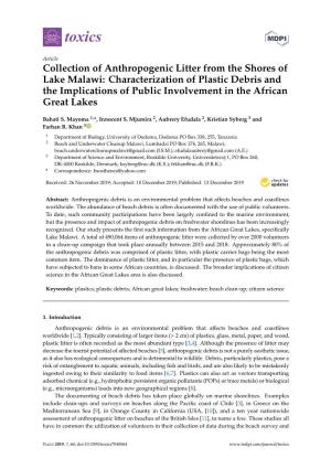 Characterization of Plastic Debris and the Implications of Public Involvement in the African Great Lakes