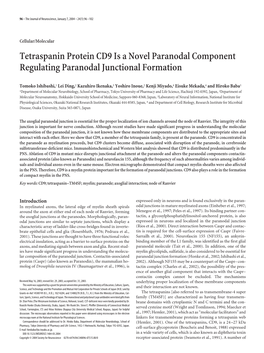 Tetraspanin Protein CD9 Is a Novel Paranodal Component Regulating Paranodal Junctional Formation