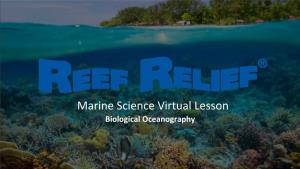 Marine Science Virtual Lesson Biological Oceanography Photo Credit: Getty Images