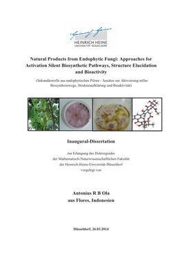 Natural Products from Endophytic Fungi: Approaches for Activation Silent Biosynthetic Pathways, Structure Elucidation and Bioactivity
