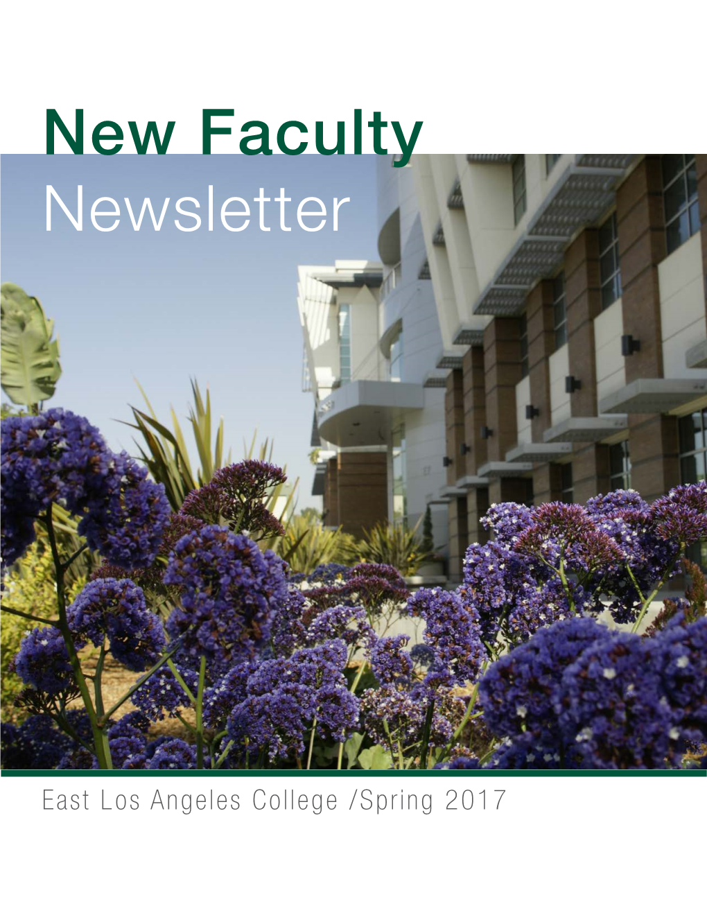 New Faculty Newsletter