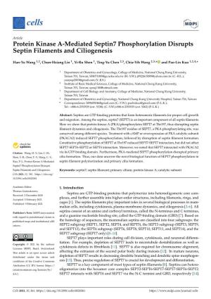 Protein Kinase A-Mediated Septin7 Phosphorylation Disrupts Septin Filaments and Ciliogenesis