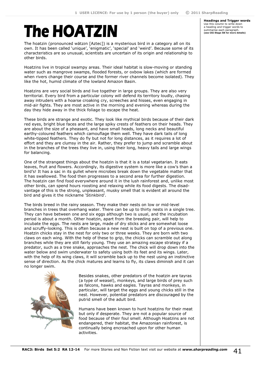 Hoatzin-Birds.Pdf