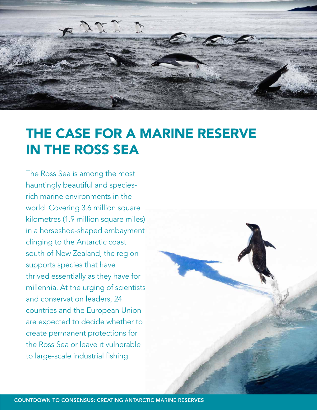 THE Case for a Marine Reserve in the Ross Sea