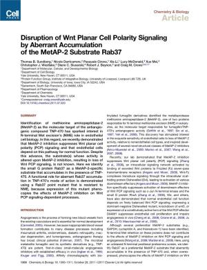 Disruption of Wnt Planar Cell Polarity Signaling by Aberrant Accumulation of the Metap-2 Substrate Rab37