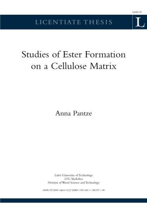 Studies of Ester Formation on a Cellulose Matrix