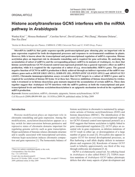 Histone Acetyltransferase GCN5 Interferes with the Mirna Pathway in Arabidopsis