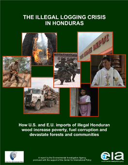 The Illegal Logging Crisis in Honduras