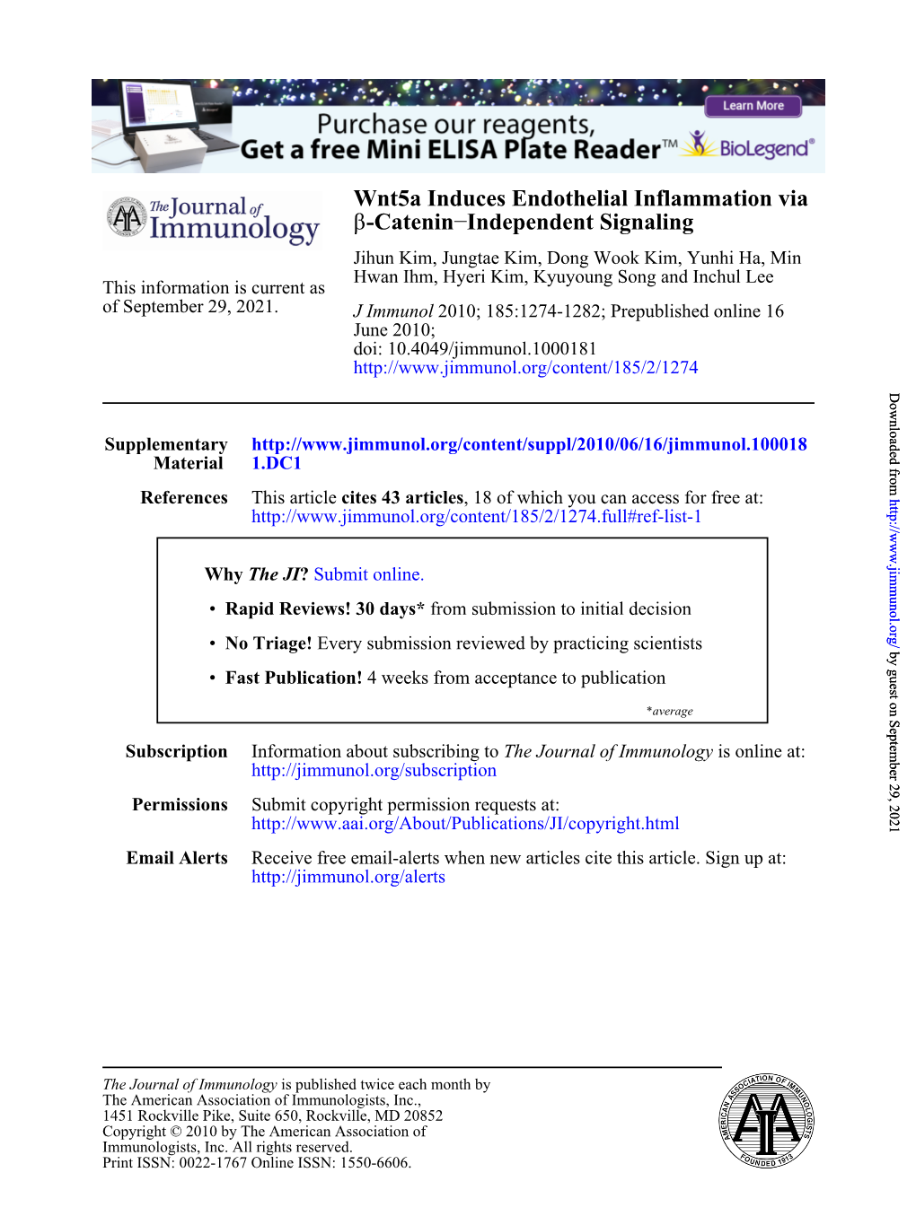 Independent Signaling − -Catenin Β Wnt5a Induces Endothelial