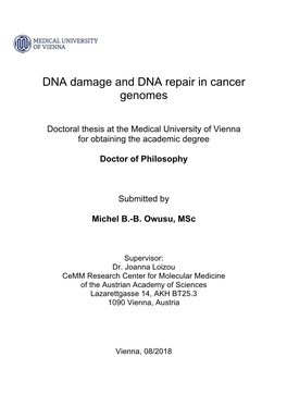 DNA Damage and DNA Repair in Cancer Genomes