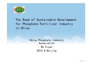 The Road of Sustainable Development for Phosphate Fertilizer Industry in China