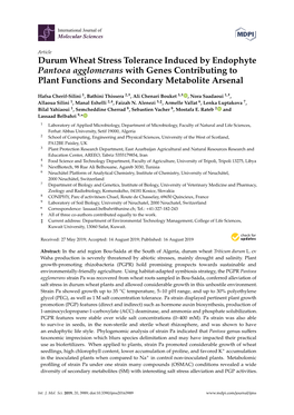 Durum Wheat Stress Tolerance Induced by Endophyte Pantoea Agglomerans with Genes Contributing to Plant Functions and Secondary Metabolite Arsenal