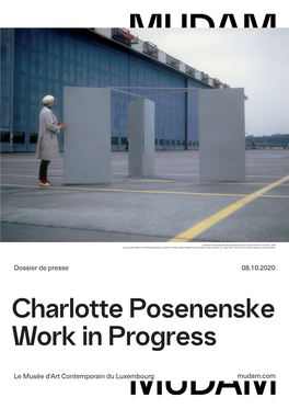 Charlotte Posenenske Work in Progress