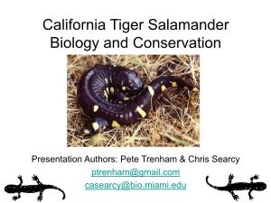 California Tiger Salamander Presentation