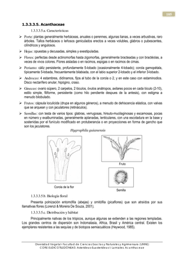 Acanthaceae 1.3.3.3.5.A