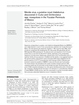 Merida Virus, a Putative Novel Rhabdovirus Discovered in Culex and Ochlerotatus Spp