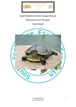South Yorkshire Fish & Terrapin Rescue Welcome to Our Terrapin