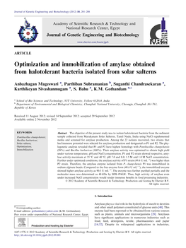 Optimization and Immobilization of Amylase Obtained from Halotolerant Bacteria Isolated from Solar Salterns