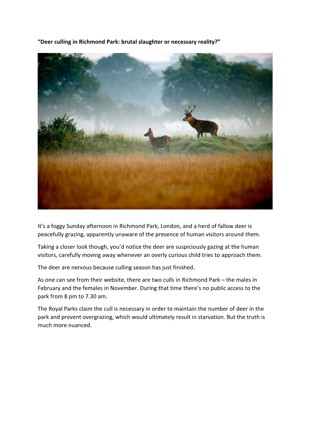 Deer Culling in Richmond Park: Brutal Slaughter Or Necessary Reality?”