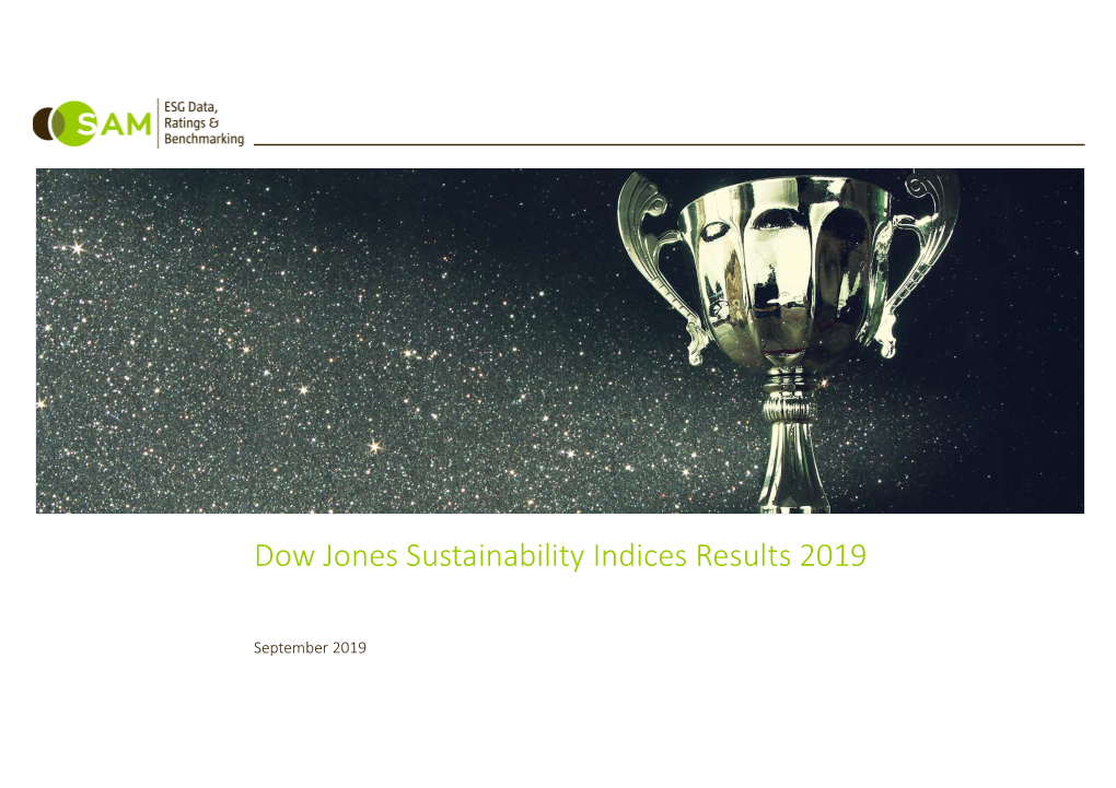 Dow Jones Sustainability Indices Results 2019