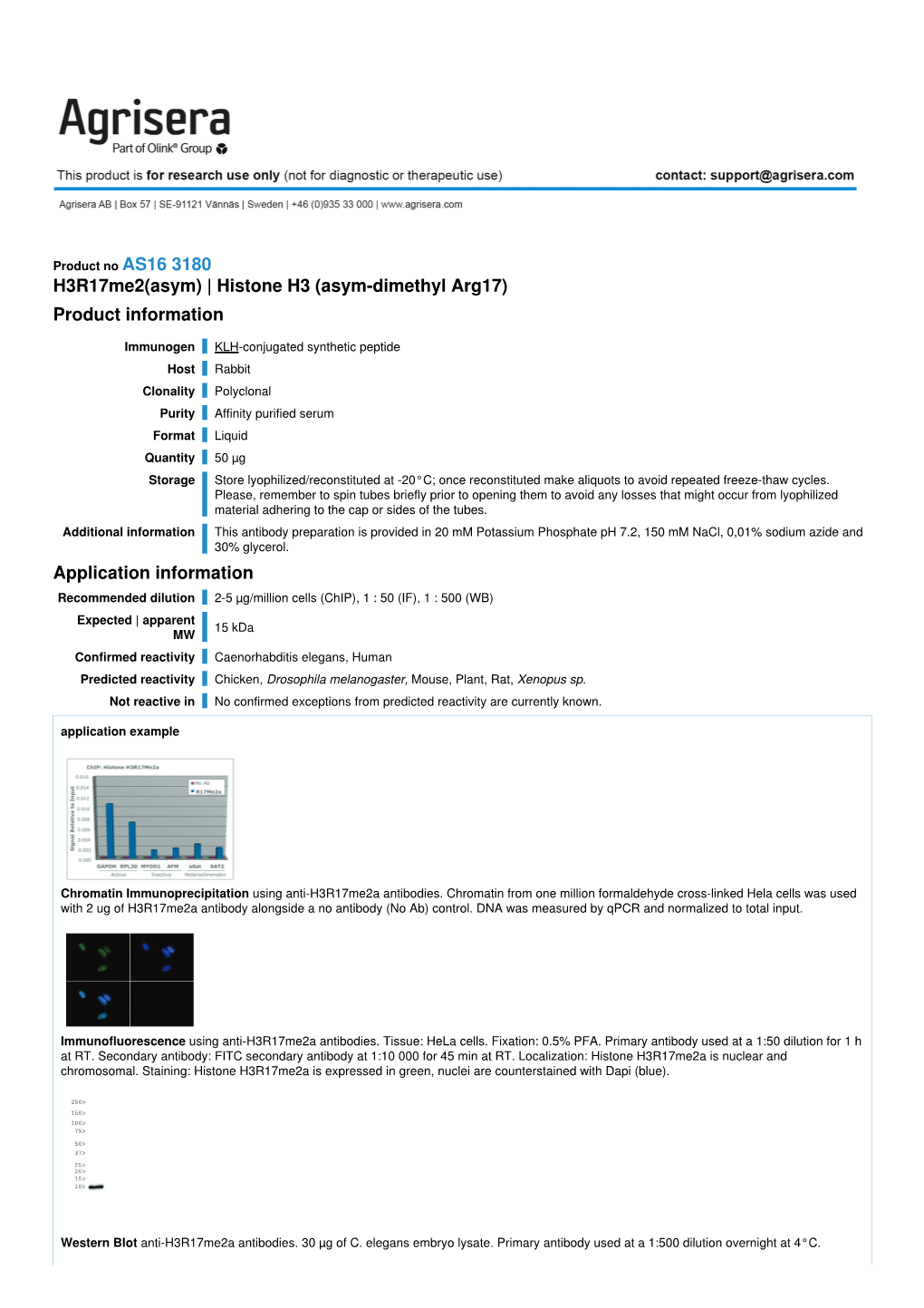 H3r17me2(Asym) | Histone H3 (Asym-Dimethyl Arg17) Product Information