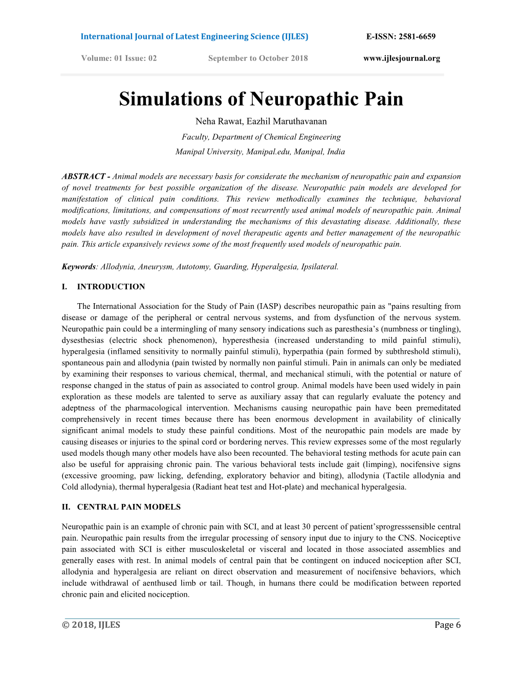 Simulations of Neuropathic Pain