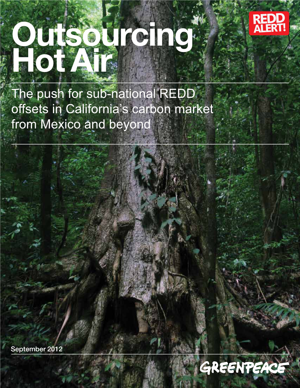 Outsourcing Hot Air the Push for Sub-National REDD Offsets in California’S Carbon Market from Mexico and Beyond