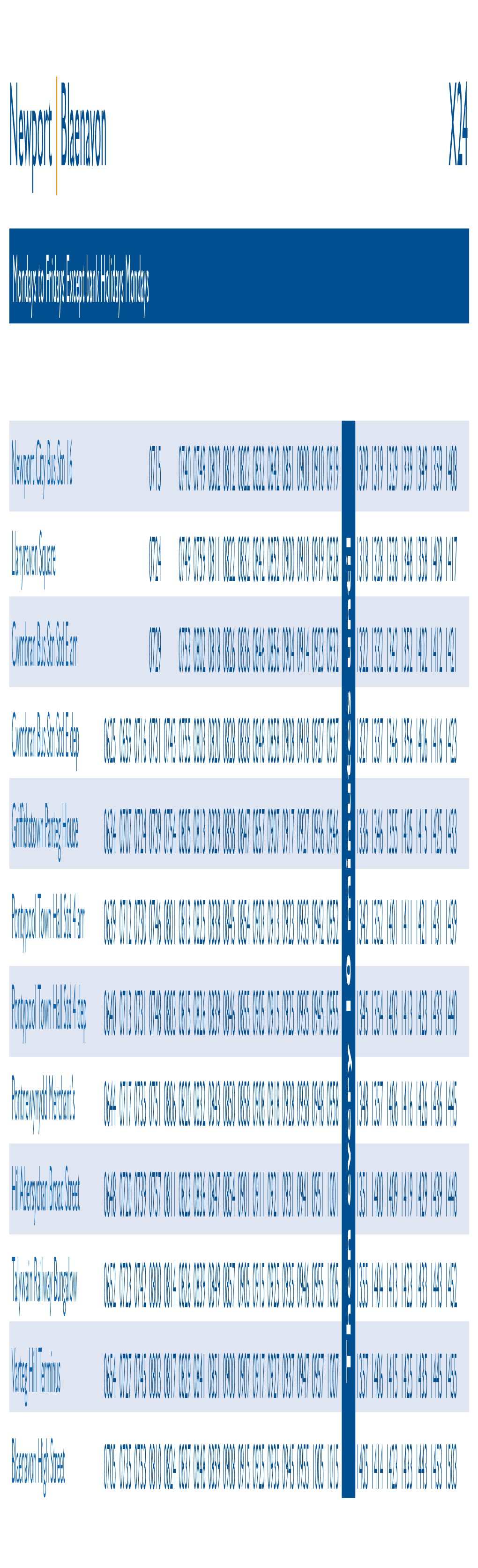 Newport | Blaenavon X24 Mondays to Fridays Except Bank Holidays Mondays