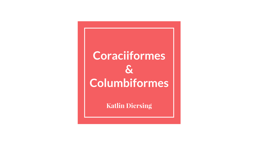 Coraciiformes & Columbiformes