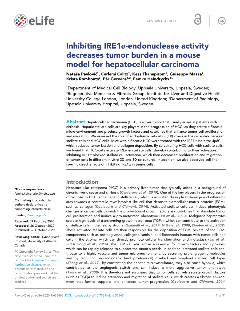 Inhibiting Ire1a-Endonuclease Activity Decreases Tumor Burden in A