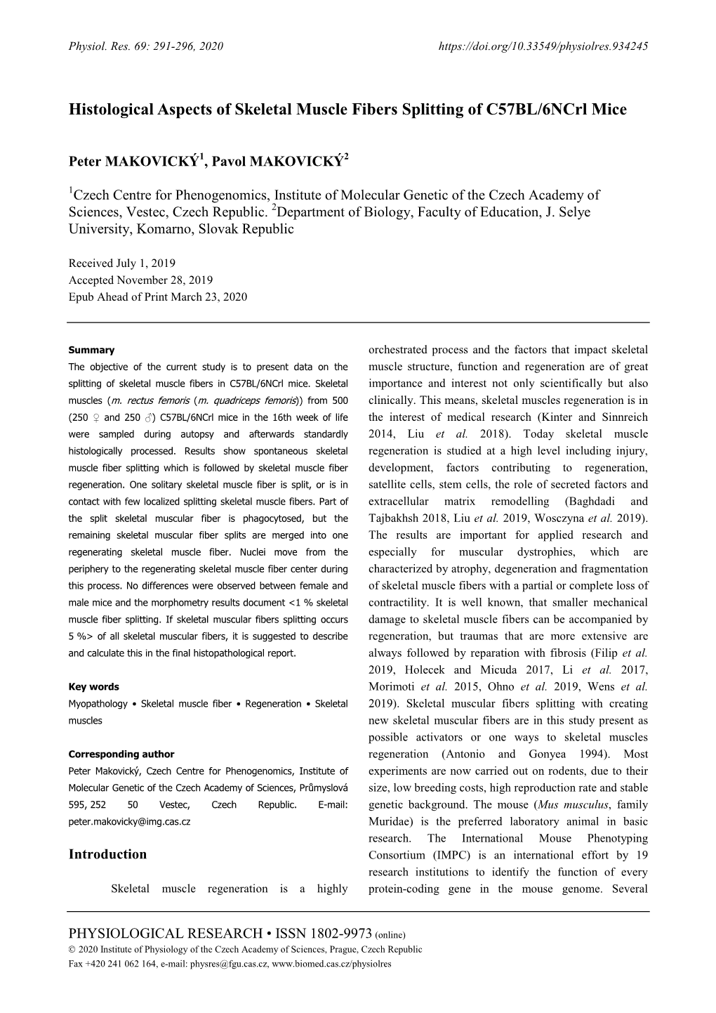 Histological Aspects of Skeletal Muscle Fibers Splitting of C57BL/6Ncrl Mice