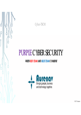 Purple Cyber Security When Red Team and Blue Team Combine