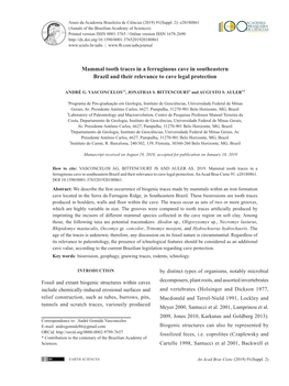 Mammal Tooth Traces in a Ferruginous Cave in Southeastern Brazil and Their Relevance to Cave Legal Protection