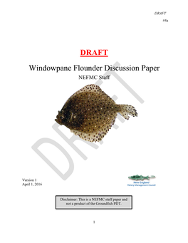 DRAFT Windowpane Flounder Discussion Paper