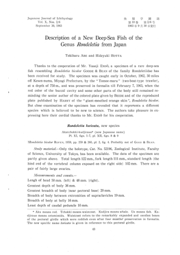 Description of a New Deep-Sea Fish of the Genus Rondeletia from Japan