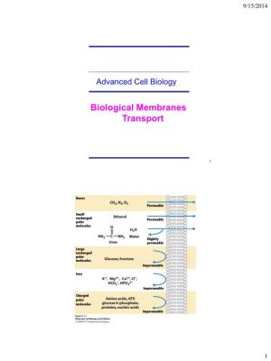 Biological Membranes Transport
